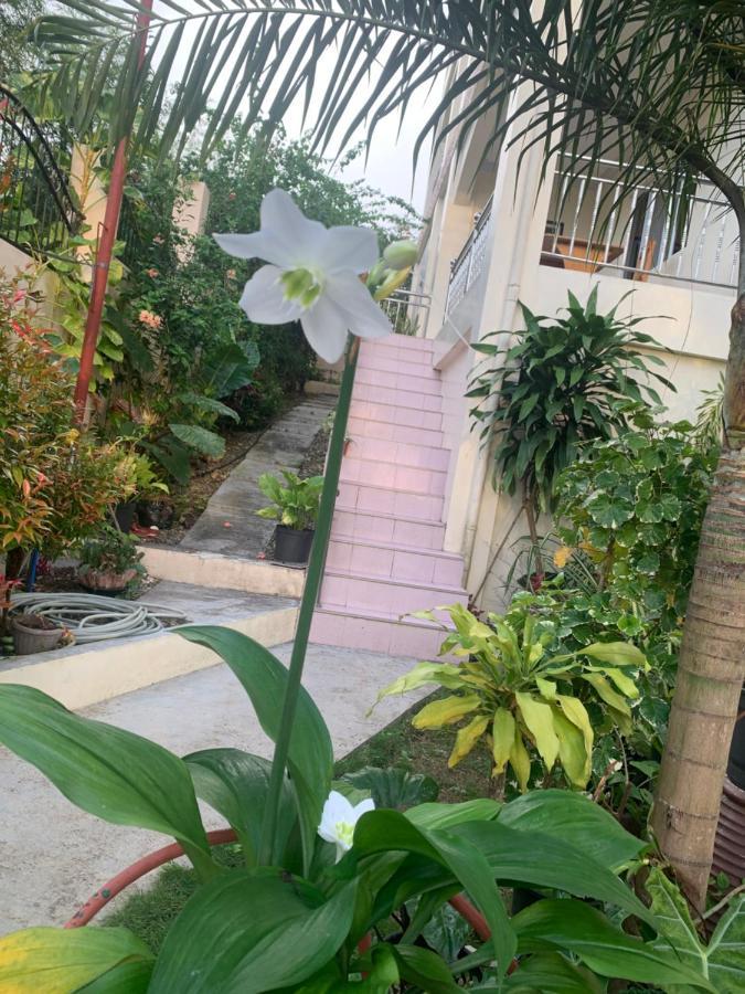 Soul Travellers Dagatan Castle Hotel Badian Ngoại thất bức ảnh
