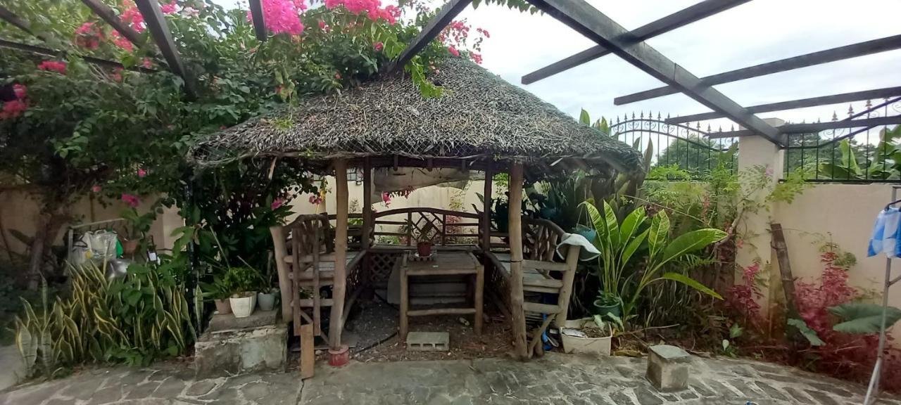 Soul Travellers Dagatan Castle Hotel Badian Ngoại thất bức ảnh