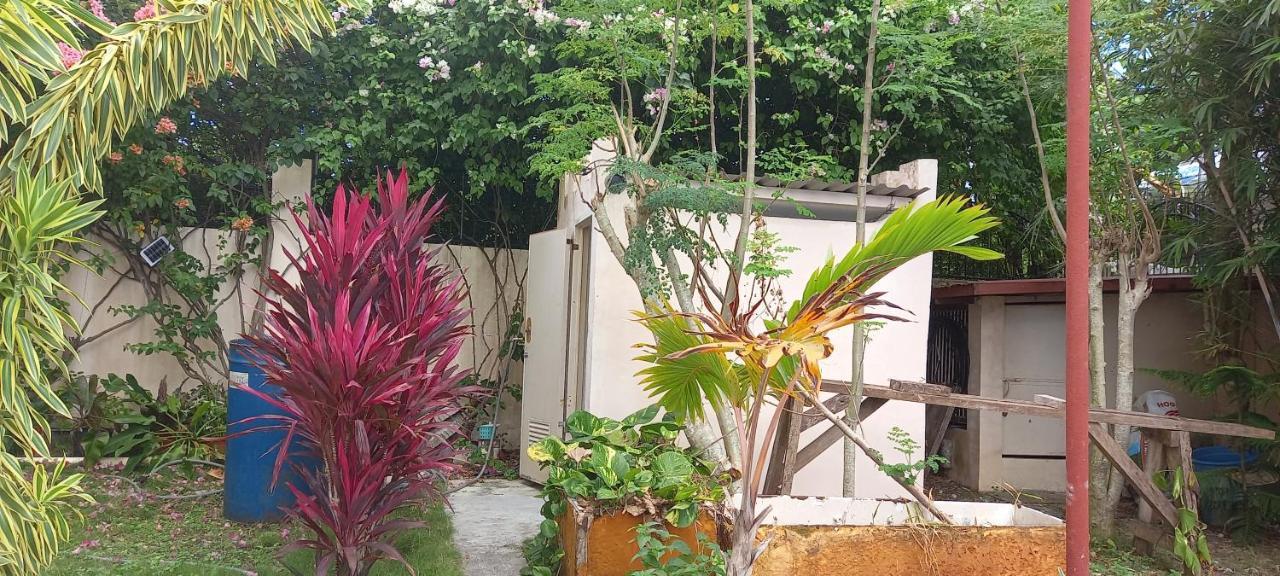 Soul Travellers Dagatan Castle Hotel Badian Ngoại thất bức ảnh